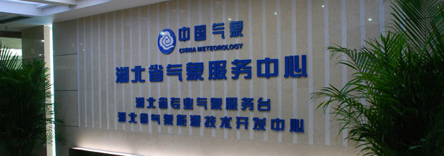 湖北網絡技術服務 數字化轉型浪潮下的行業新氣象